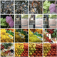 Image for article titled Test Notes: iPhone 4 Camera